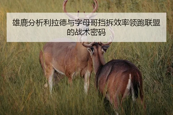 雄鹿分析利拉德与字母哥挡拆效率领跑联盟的战术密码